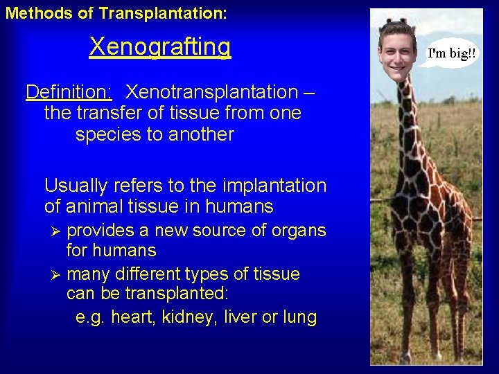 Methods of Transplantation: Xenografting Definition: Xenotransplantation – the transfer of tissue from one species