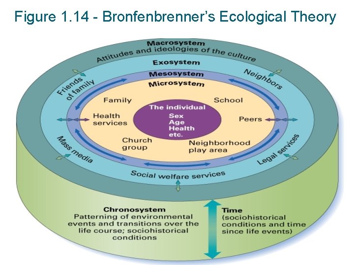 Slide 20 Figure 1. 14 - Bronfenbrenner’s Ecological Theory © 2012 The Mc. Graw-Hill