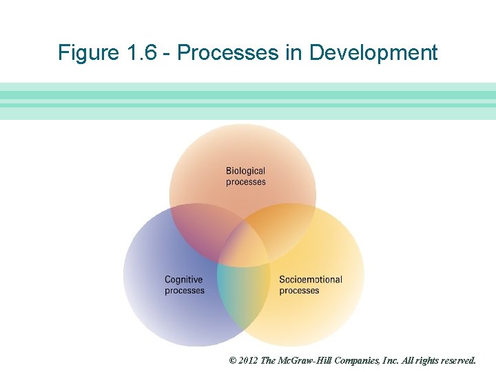 Slide 5 Figure 1. 6 - Processes in Development © 2012 The Mc. Graw-Hill