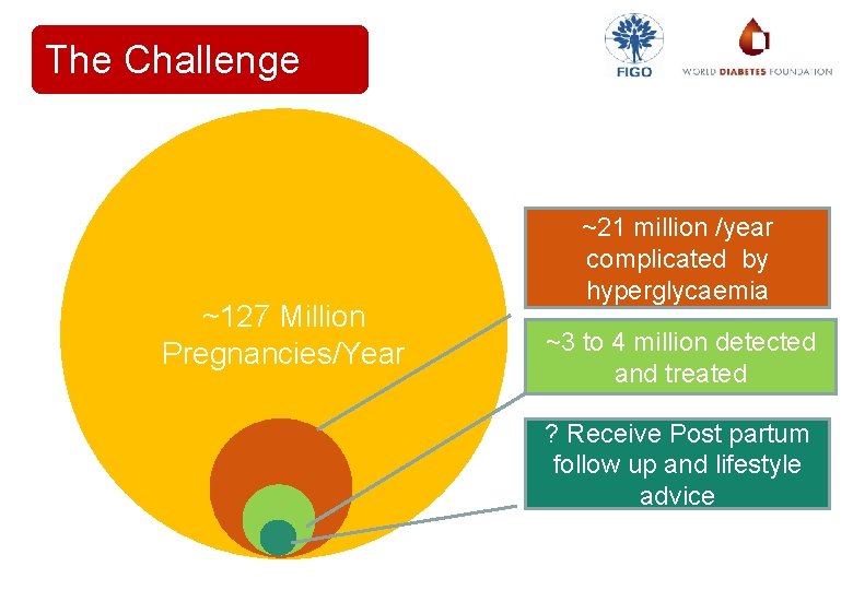 The Challenge ~127 Million Pregnancies/Year ~21 million /year complicated by hyperglycaemia ~3 to 4