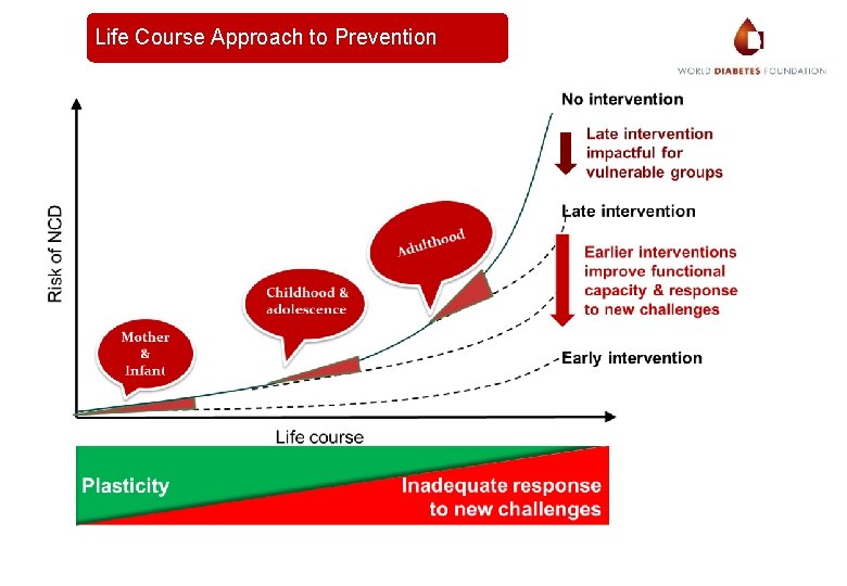 Life Course Approach to Prevention 