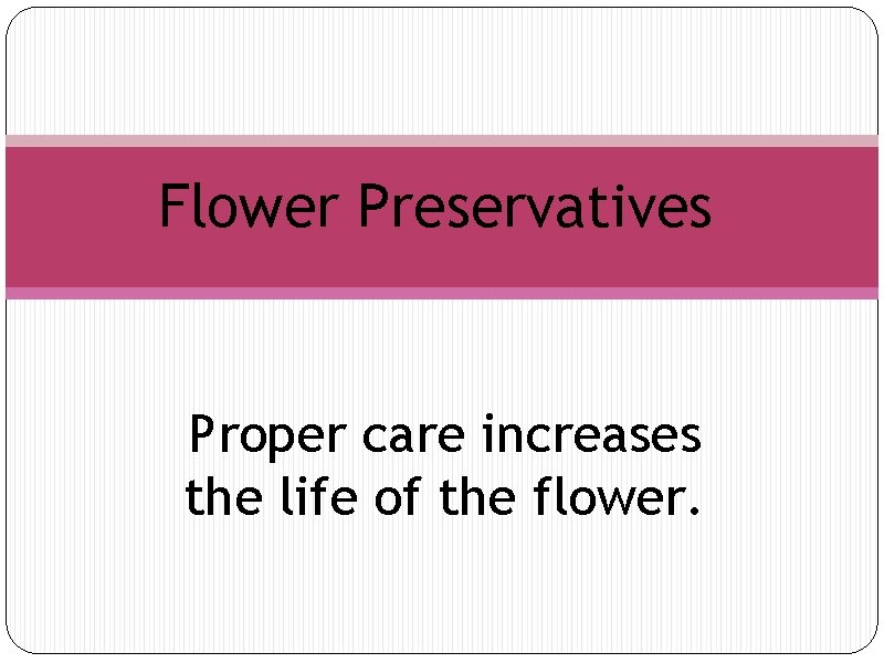 Flower Preservatives Proper care increases the life of the flower. 