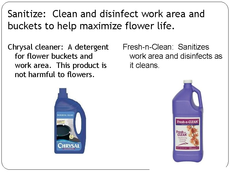 Sanitize: Clean and disinfect work area and buckets to help maximize flower life. Chrysal