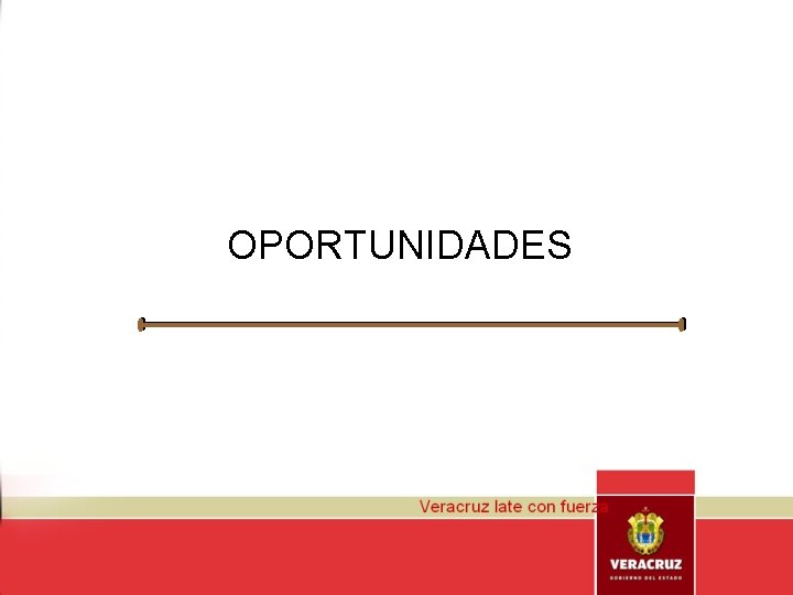 OPORTUNIDADES 