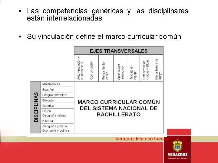  • Las competencias genéricas y las disciplinares están interrelacionadas. • Su vinculación define