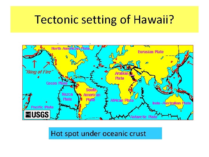 Tectonic setting of Hawaii? Hot spot under oceanic crust 