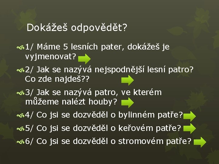 Dokážeš odpovědět? 1/ Máme 5 lesních pater, dokážeš je vyjmenovat? 2/ Jak se nazývá