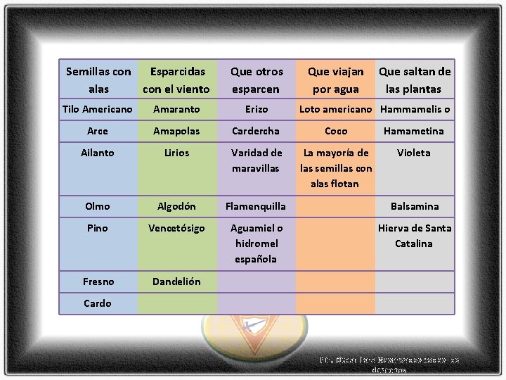 Semillas con Esparcidas alas con el viento Que otros esparcen Que viajan Que saltan