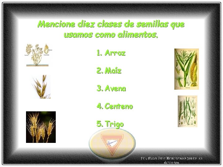 Mencione diez clases de semillas que usamos como alimentos. 1. Arroz 2. Maíz 3.