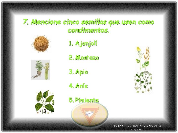 7. Mencione cinco semillas que usen como condimentos. 1. Ajonjolí 2. Mostaza 3. Apio