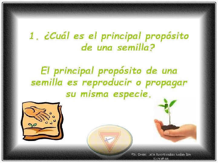 1. ¿Cuál es el principal propósito de una semilla? El principal propósito de una