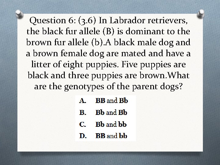 Question 6: (3. 6) In Labrador retrievers, the black fur allele (B) is dominant