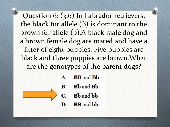 Question 6: (3. 6) In Labrador retrievers, the black fur allele (B) is dominant