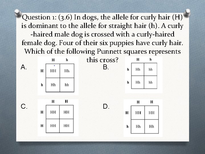 Question 1: (3. 6) In dogs, the allele for curly hair (H) is dominant