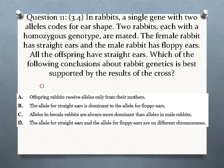 Question 11: (3. 4) In rabbits, a single gene with two alleles codes for