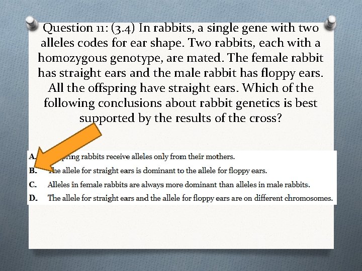 Question 11: (3. 4) In rabbits, a single gene with two alleles codes for