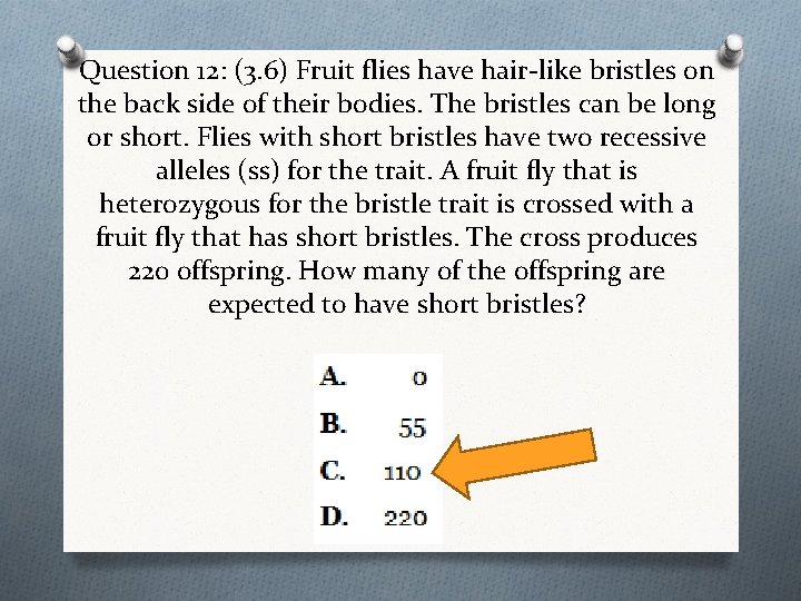 Question 12: (3. 6) Fruit flies have hair-like bristles on the back side of