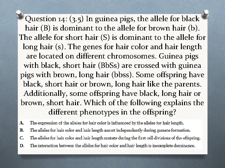 Question 14: (3. 5) In guinea pigs, the allele for black hair (B) is