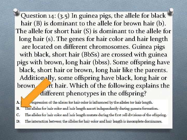 Question 14: (3. 5) In guinea pigs, the allele for black hair (B) is