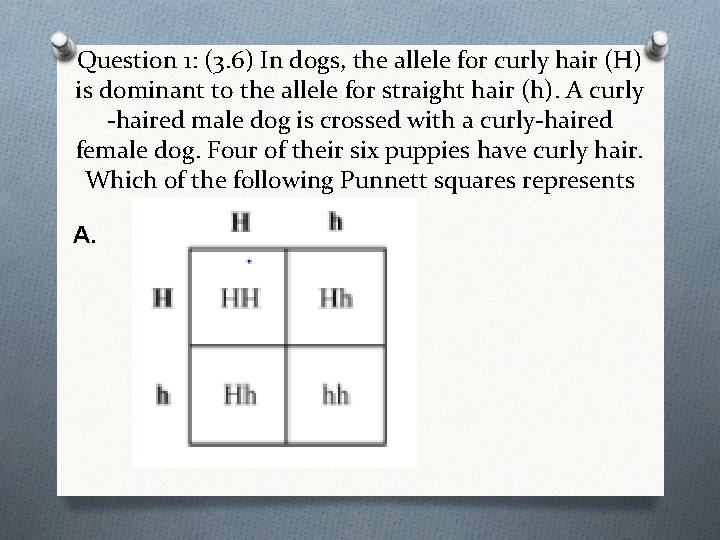 Question 1: (3. 6) In dogs, the allele for curly hair (H) is dominant