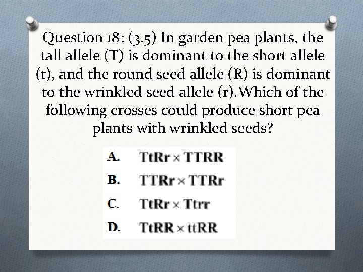 Question 18: (3. 5) In garden pea plants, the tall allele (T) is dominant