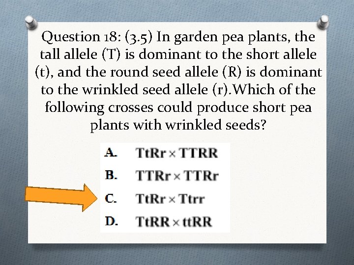 Question 18: (3. 5) In garden pea plants, the tall allele (T) is dominant