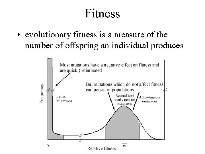 Fitness • evolutionary fitness is a measure of the number of offspring an individual