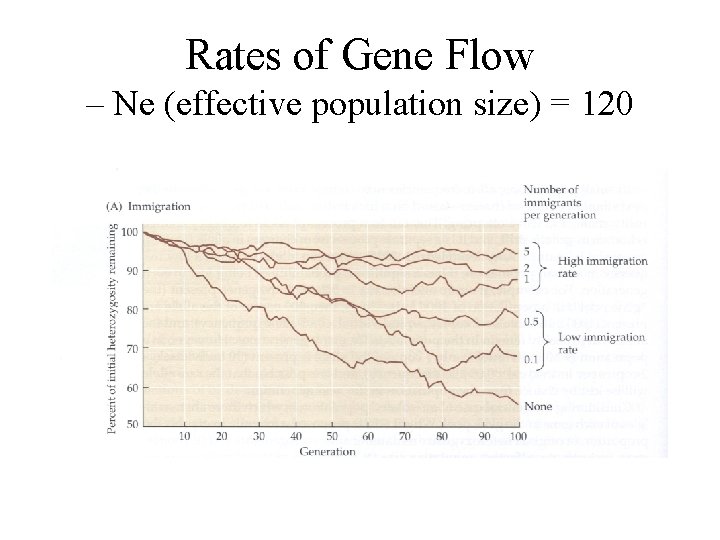 Rates of Gene Flow – Ne (effective population size) = 120 