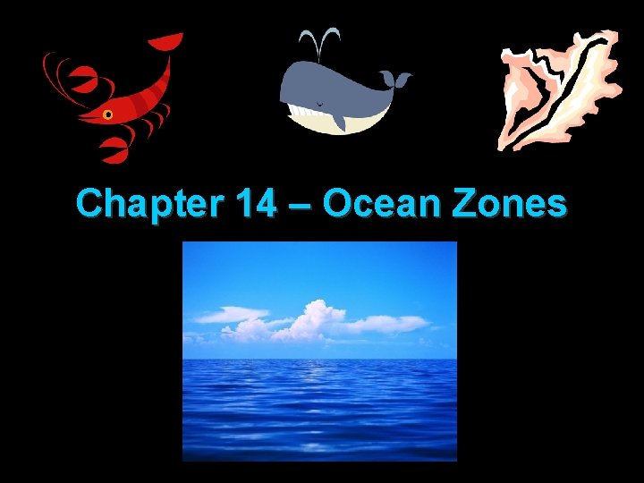 Chapter 14 – Ocean Zones 