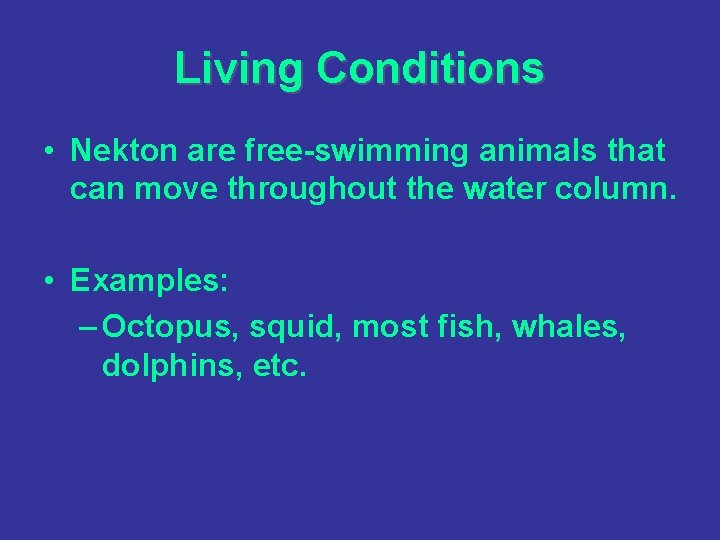 Living Conditions • Nekton are free-swimming animals that can move throughout the water column.