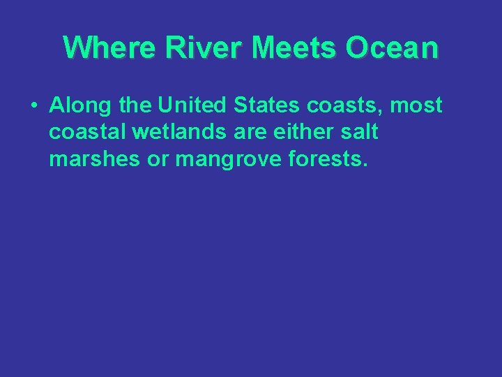 Where River Meets Ocean • Along the United States coasts, most coastal wetlands are