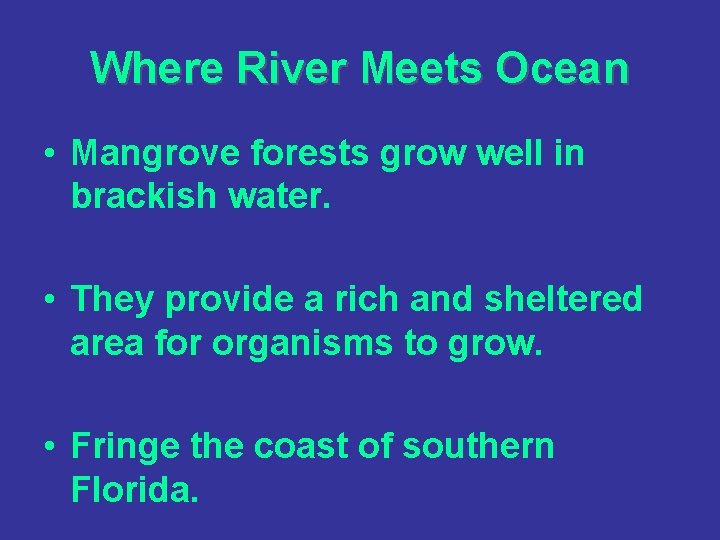 Where River Meets Ocean • Mangrove forests grow well in brackish water. • They