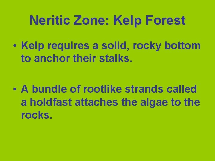 Neritic Zone: Kelp Forest • Kelp requires a solid, rocky bottom to anchor their