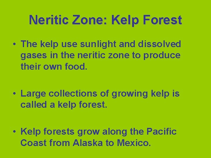 Neritic Zone: Kelp Forest • The kelp use sunlight and dissolved gases in the