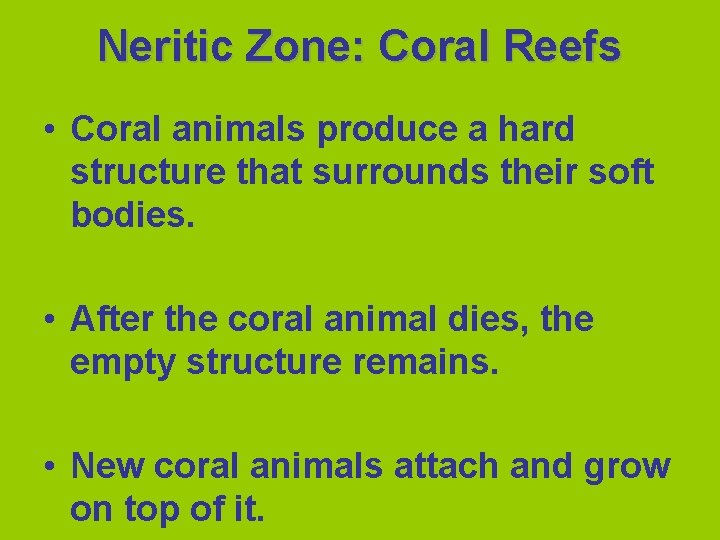 Neritic Zone: Coral Reefs • Coral animals produce a hard structure that surrounds their
