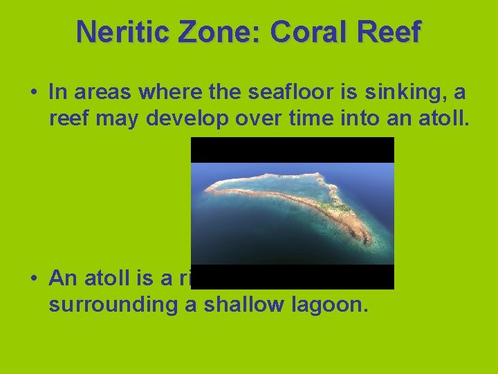 Neritic Zone: Coral Reef • In areas where the seafloor is sinking, a reef