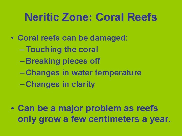 Neritic Zone: Coral Reefs • Coral reefs can be damaged: – Touching the coral