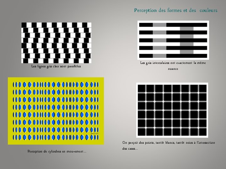 Perception des formes et des couleurs Les lignes gris clair sont parallèles Perception de