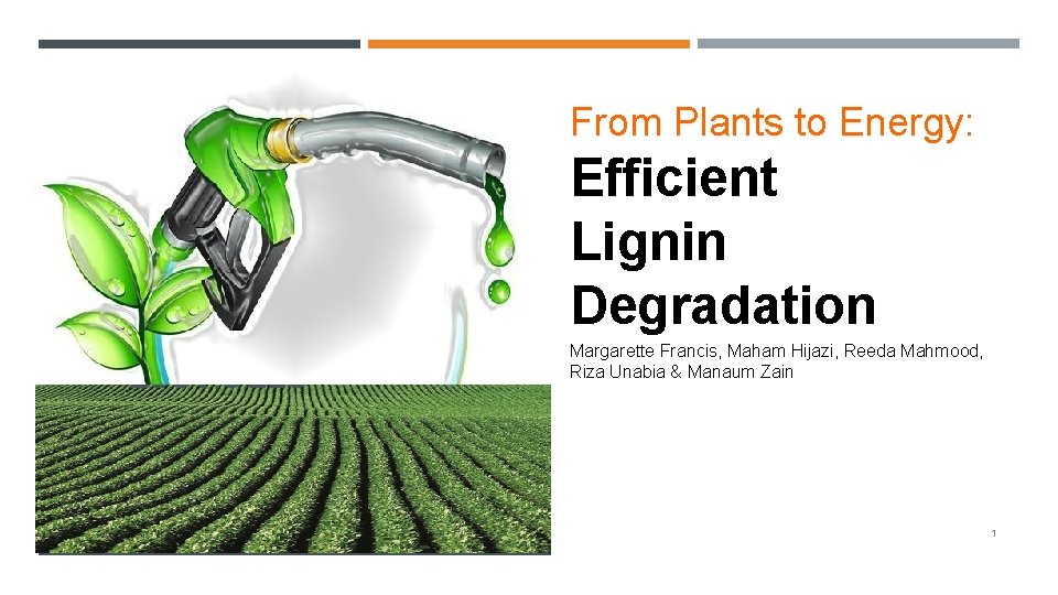 From Plants to Energy Efficient Lignin Degradation BIOFUELS