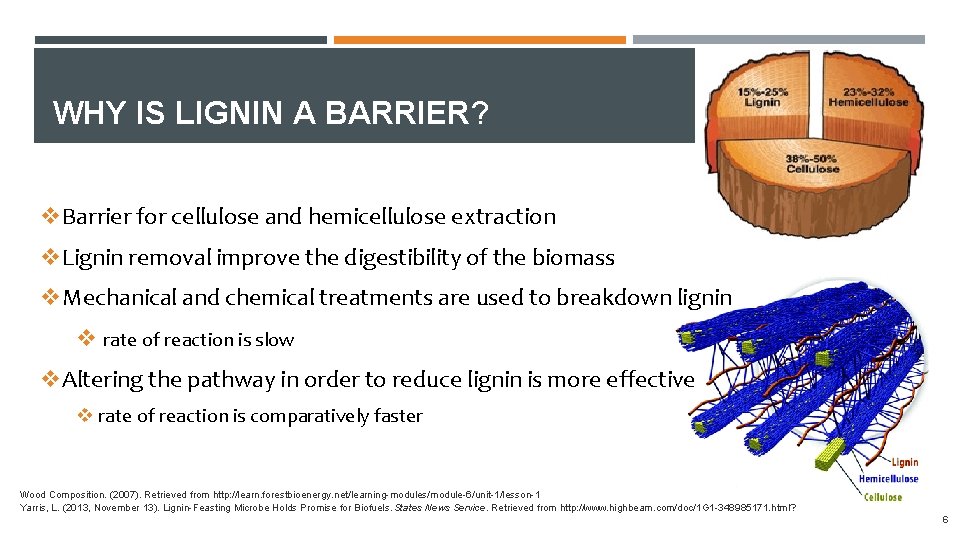 From Plants to Energy Efficient Lignin Degradation BIOFUELS