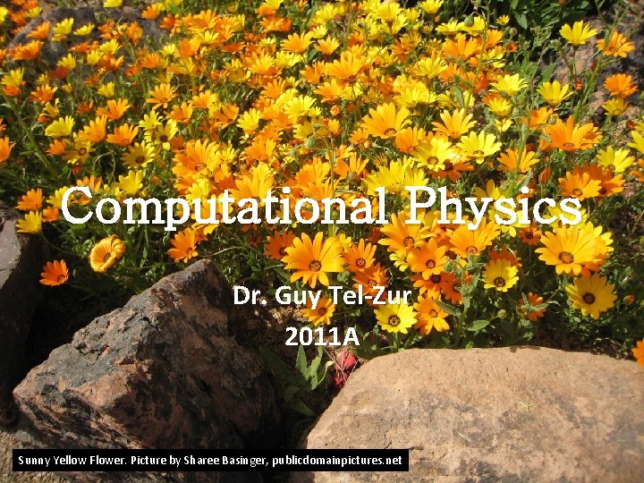 Computational Physics Dr. Guy Tel-Zur 2011 A Sunny Yellow Flower. Picture by Sharee Basinger, Computational Physics Dr. Guy Tel-Zur 2011 A Sunny Yellow Flower. Picture by Sharee Basinger,