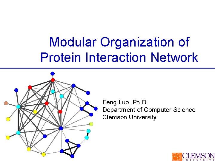 Modular Organization of Protein Interaction Network Feng Luo, Ph. D. Department of Computer Science