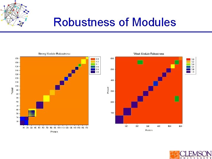 Robustness of Modules 