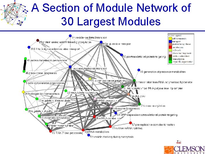 A Section of Module Network of 30 Largest Modules 