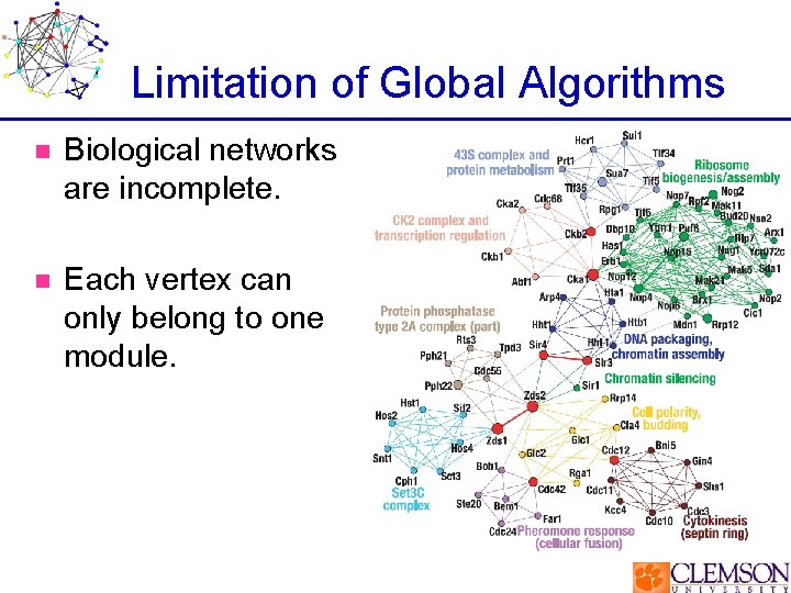 Limitation of Global Algorithms n Biological networks are incomplete. n Each vertex can only