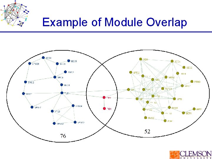 Example of Module Overlap 