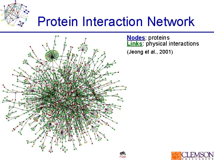 Protein Interaction Network Nodes: proteins Links: physical interactions (Jeong et al. , 2001) 