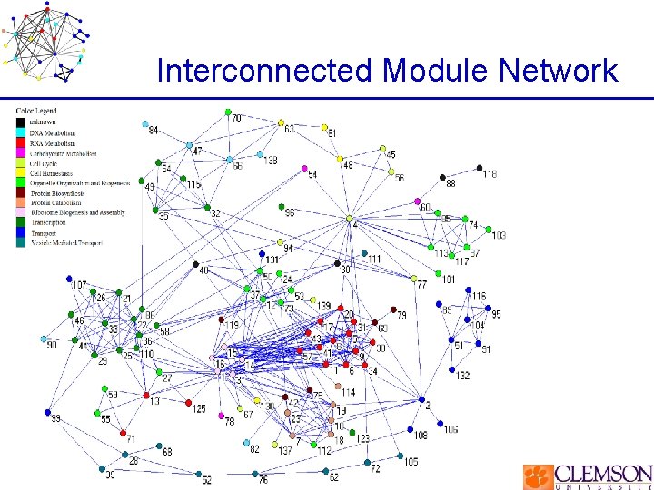 Interconnected Module Network 