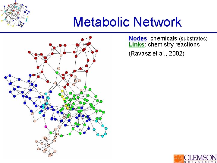 Metabolic Network Nodes: chemicals (substrates) Links: chemistry reactions (Ravasz et al. , 2002) 
