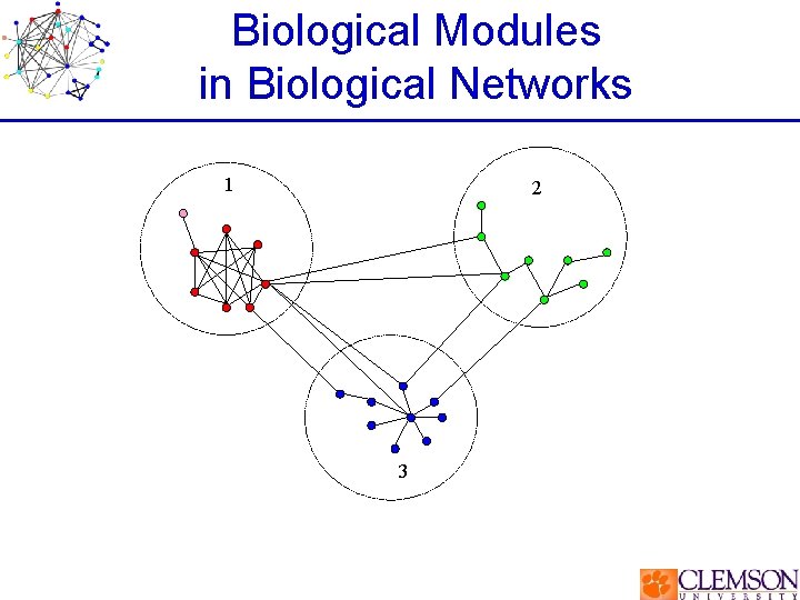Biological Modules in Biological Networks 1 2 3 